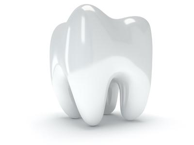 molar teeth | emergency dentist flowery branch ga